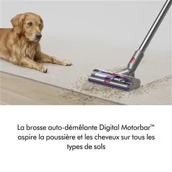 Aspirateur balai Dyson V15 Detect Absolute Gris et Violet - Daxaminus