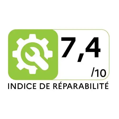 Aspirateur balai V12 Dyson Detect Slim Absolute 545 W Gris - Speedroxy