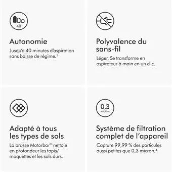 Aspirateur balai Dyson V8 advanced 130 W Gris anthracite - Daxaminus